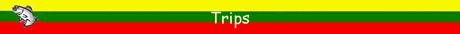 Trips